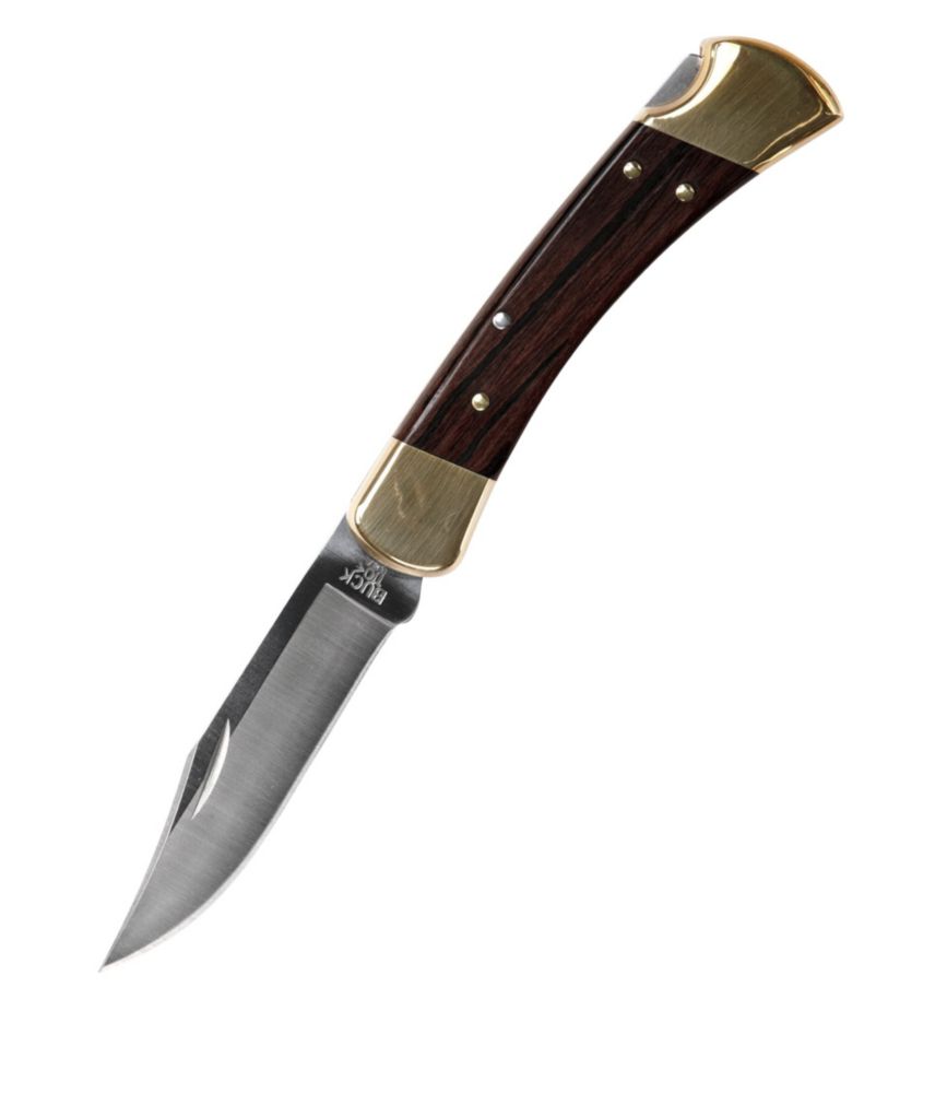 Buck 110 Folding Hunter's Knife - US 6872