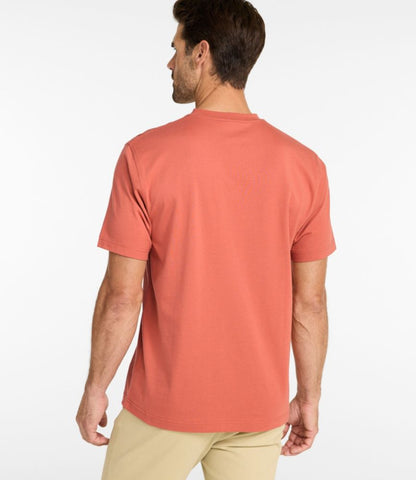 Men's Carefree Unshrinkable Tee, Traditional Fit, Henley - US 9778