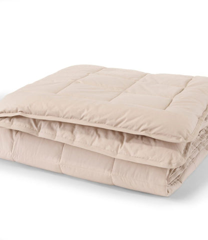 Ultrasoft Cotton Comforter - US 9392