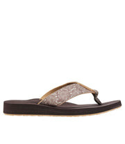 Taupe Shell