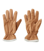 Women's Deerskin Glove - US 1738