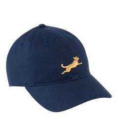 Classic Navy Lab